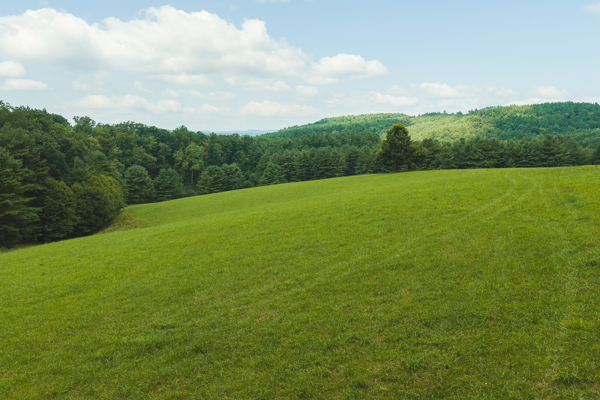 Private Retreat for Sale in Willis VA
