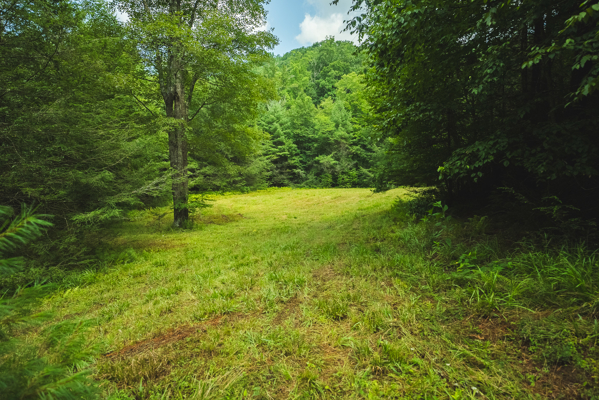 Private Retreat for Sale in Willis VA