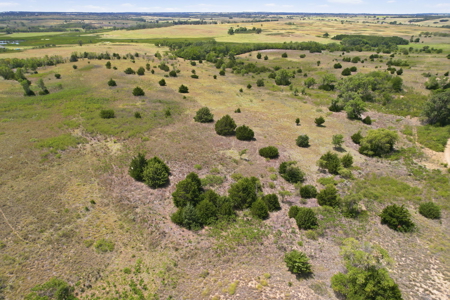 157.5 Acres MOL For Sale Near Reydon, Oklahoma - image 32
