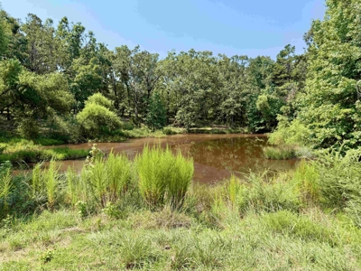Brick Country Home For Sale With Pasture And Ponds For Sale In Tn - image 38