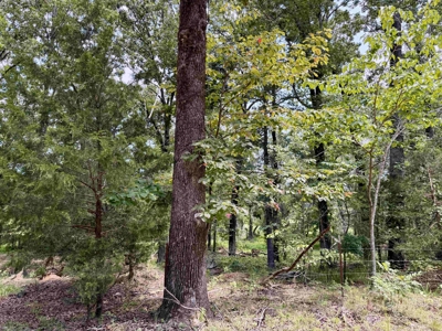 Brick Country Home For Sale With Pasture And Ponds For Sale In Tn - image 49