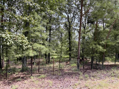 Brick Country Home For Sale With Pasture And Ponds For Sale In Tn - image 48