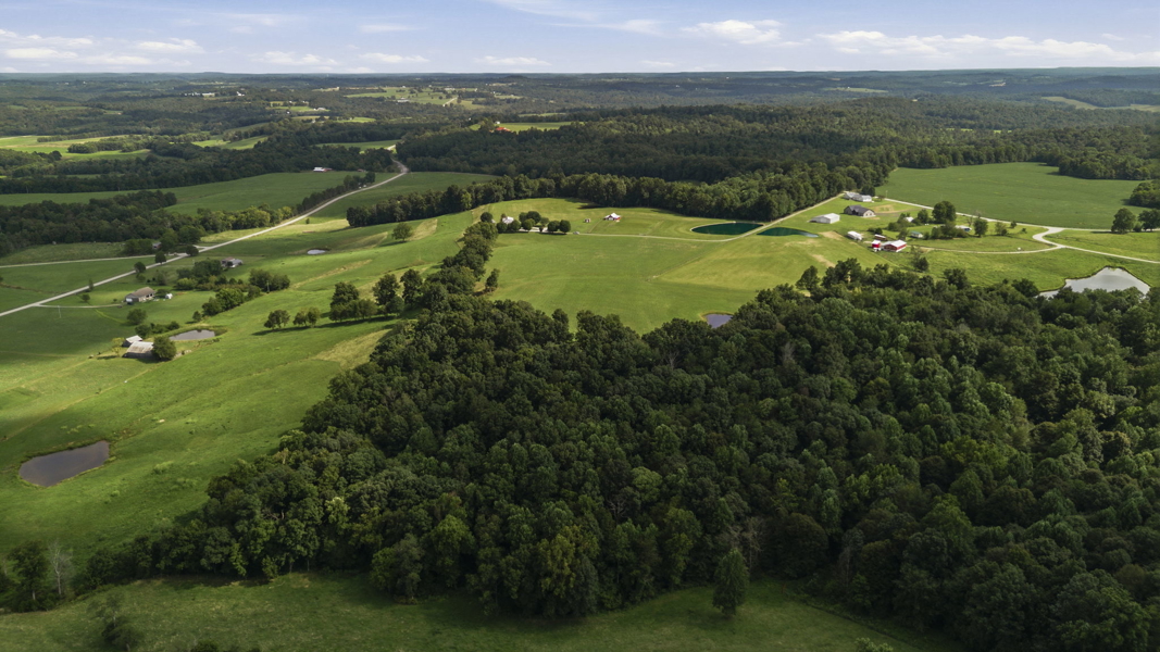 No Caption