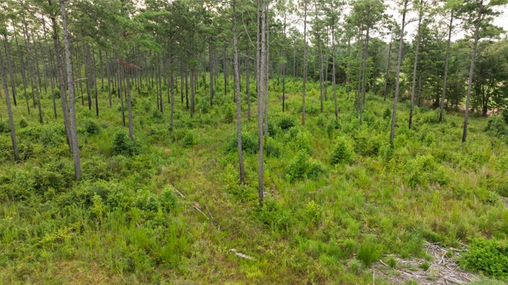 Affordable Morehouse Parish Land for Sale