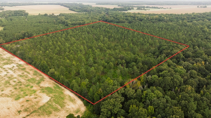 Affordable Morehouse Parish Land for Sale