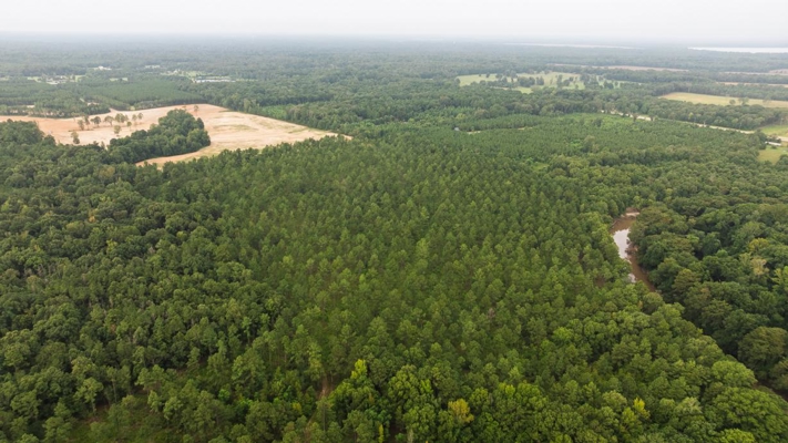 Affordable Morehouse Parish Land for Sale