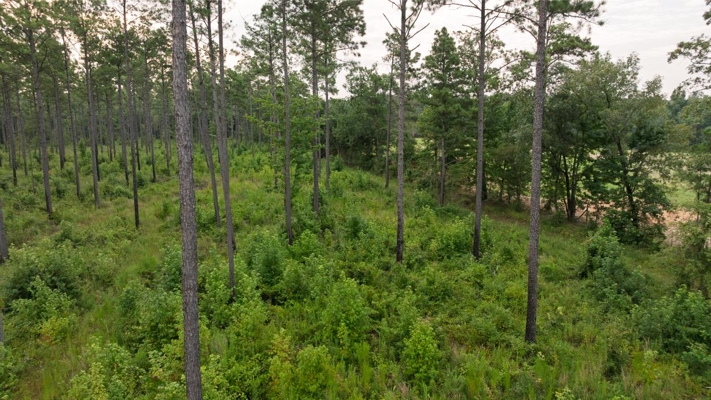 Affordable Morehouse Parish Land for Sale