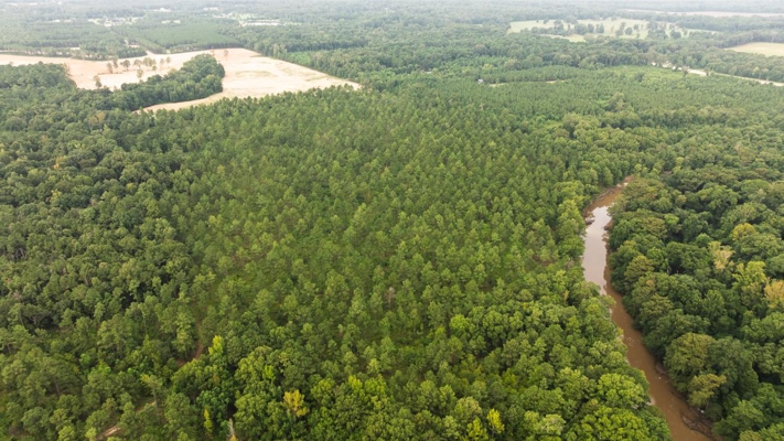 Affordable Morehouse Parish Land for Sale