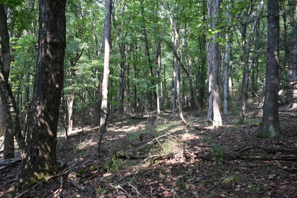 Country Home for Sale in Riner VA