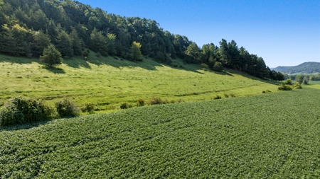 76-Acre Driftless Area Farm & Country Estate La Crosse County, Wi - image 43