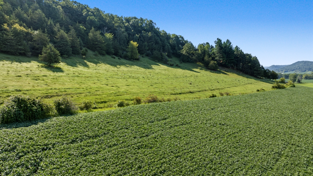 No Caption