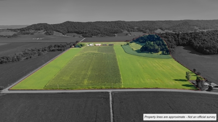 76-Acre Driftless Area Farm & Country Estate La Crosse County, Wi - image 4