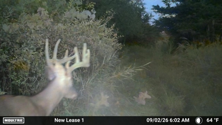 92+/- Acres of Hunting Land in Green Lake WI - image 35
