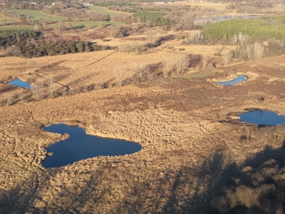 92+/- Acres of Hunting Land in Green Lake WI - image 3