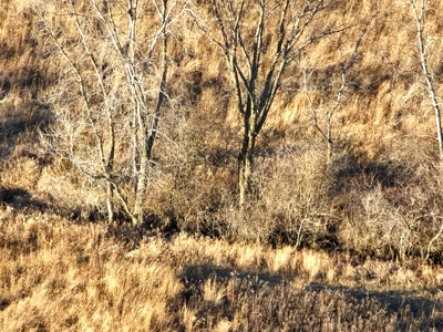 92+/- Acres of Hunting Land in Green Lake WI - image 14