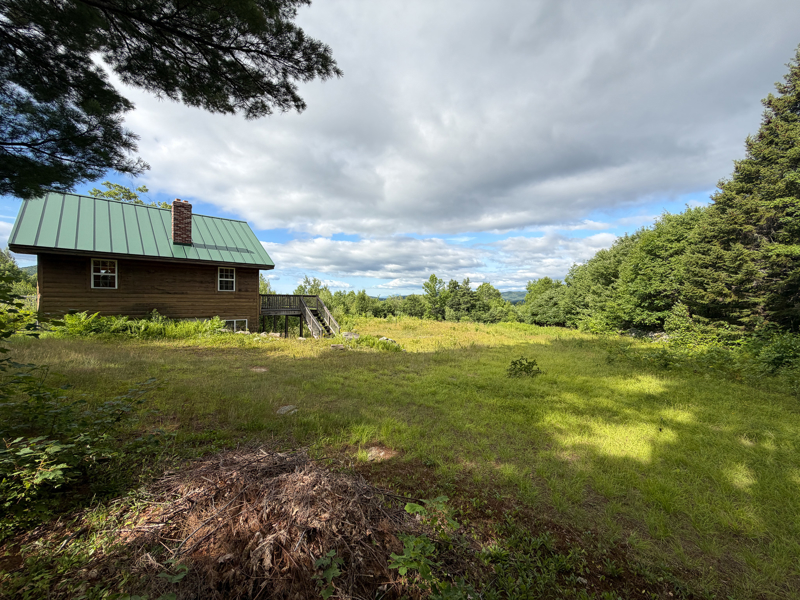 No Caption