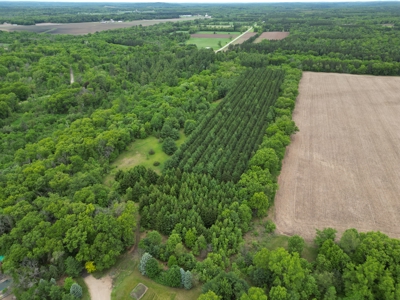 122+/- acre outdoor paradise in Waushara County WI - image 4