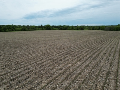 122+/- acre outdoor paradise in Waushara County WI - image 9