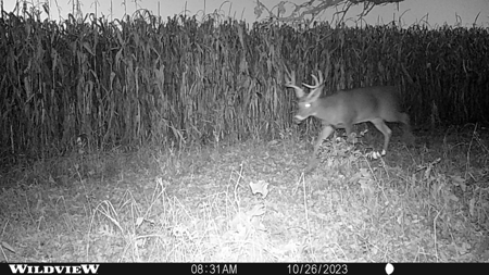 122+/- acre outdoor paradise in Waushara County WI - image 11