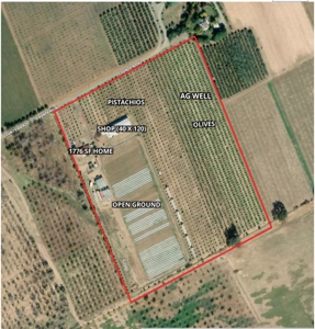 Capay Valley Country Home & Orchard Farm Land for Sale - image 20