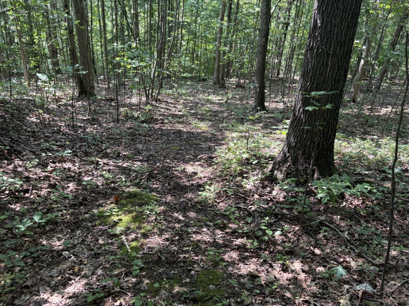 No Caption
