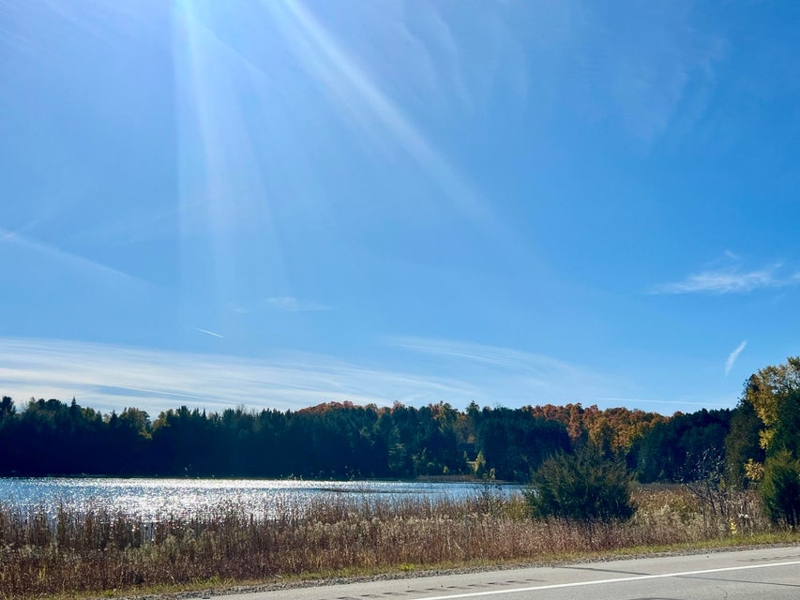 No Caption