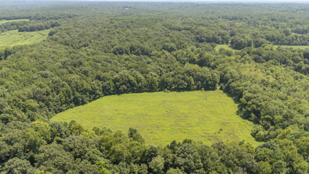 West Tennessee Farm for Sale w/ Home, Live Water & Hunting Land - image 36
