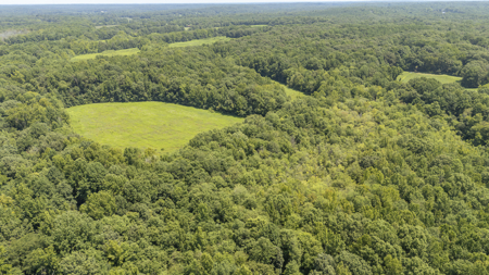 West Tennessee Farm for Sale w/ Home, Live Water & Hunting Land - image 37