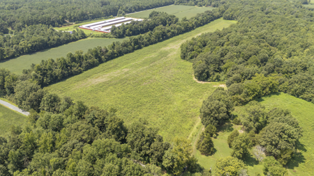 West Tennessee Farm for Sale w/ Home, Live Water & Hunting Land - image 48