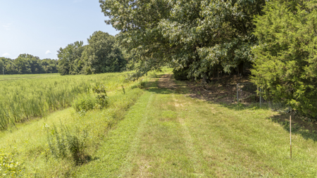 West Tennessee Farm for Sale w/ Home, Live Water & Hunting Land - image 33
