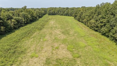 West Tennessee Farm for Sale w/ Home, Live Water & Hunting Land - image 44
