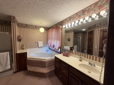 3-Bedroom Brick Home with 3.5 Baths, Garages & Basement - image 23