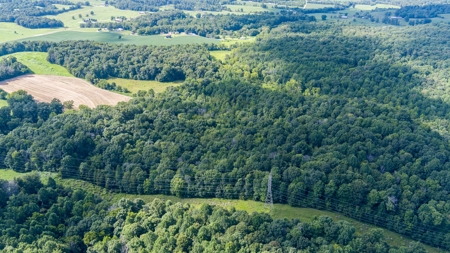 Home with Barn and Hunting Acreage in Kentucky - image 20