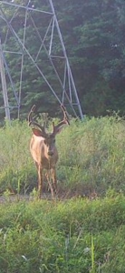 Home with Barn and Hunting Acreage in Kentucky - image 50
