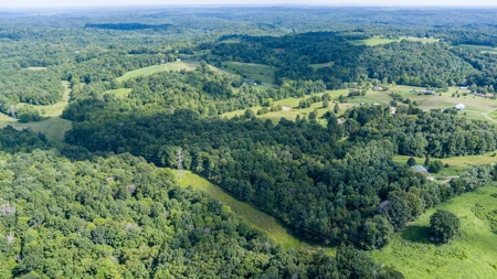 Home with Barn and Hunting Acreage in Kentucky - image 19