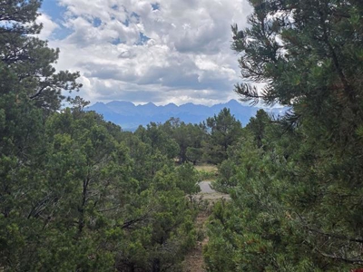 Secluded Loghill Village Mountain Retreat with Mt. Sneffels Views - image 6