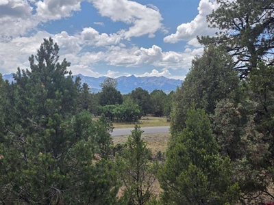 Secluded Loghill Village Mountain Retreat with Mt. Sneffels Views - image 42
