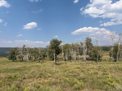 Historic Cowboy Heaven 56 Spectacular Acres Min from Telluride - image 6