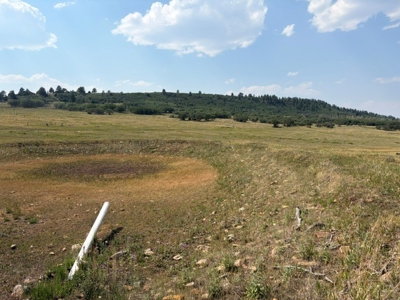 Historic Cowboy Heaven 56 Spectacular Acres Min from Telluride - image 8