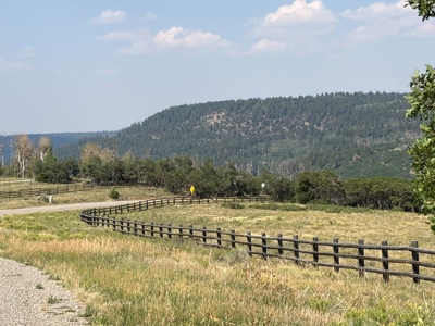 Historic Cowboy Heaven 56 Spectacular Acres Min from Telluride - image 3