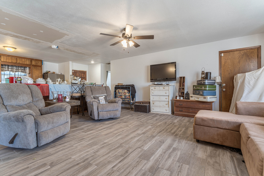 No Caption