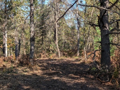 Thunder Bay River Acreage - 3.31 Acres in Atlanta MI - image 16