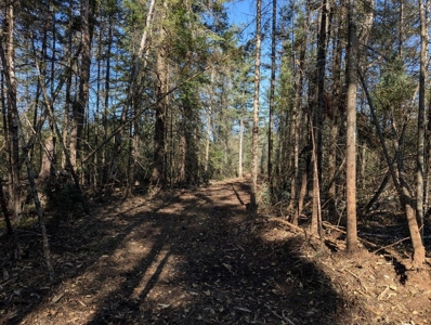 Thunder Bay River Acreage - 3.31 Acres in Atlanta MI - image 3