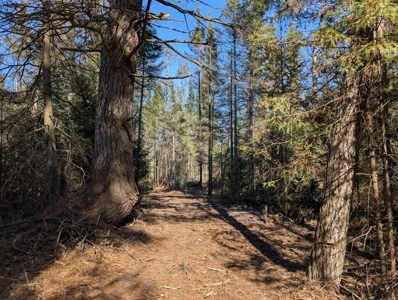 Thunder Bay River Acreage - 3.31 Acres in Atlanta MI - image 5