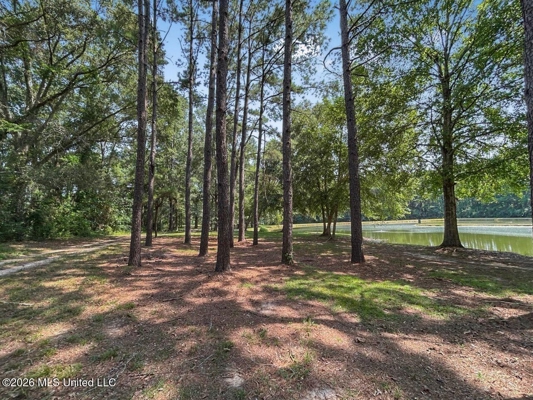 85± Acre Luxury Estate in Poplarville, MS