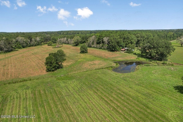 85± Acre Luxury Estate in Poplarville, MS