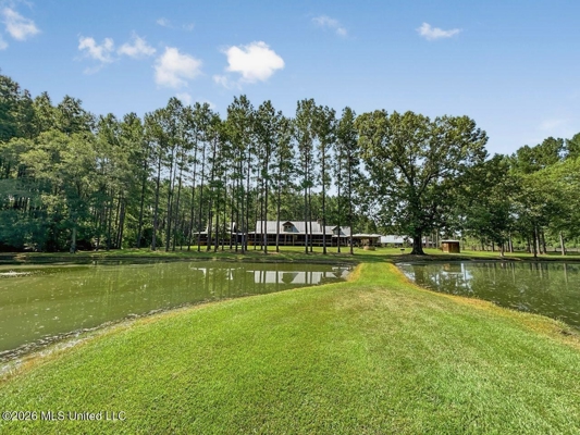 85± Acre Luxury Estate in Poplarville, MS