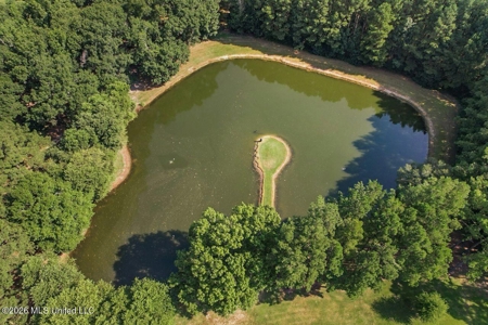 85± Acre Luxury Estate in Poplarville, MS - image 10