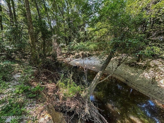 85± Acre Luxury Estate in Poplarville, MS