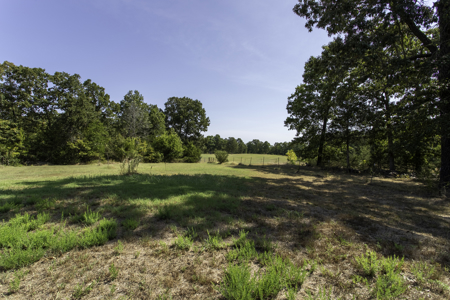 Custom Timber-Frame & Stone Estate | 20 Acres In Highland Ar - image 31